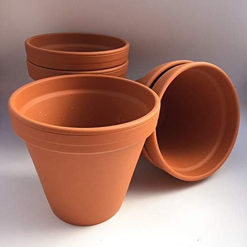 Terracotta 14" Pot