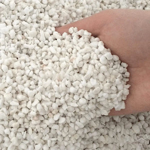 Perlite 500 Gram Pack