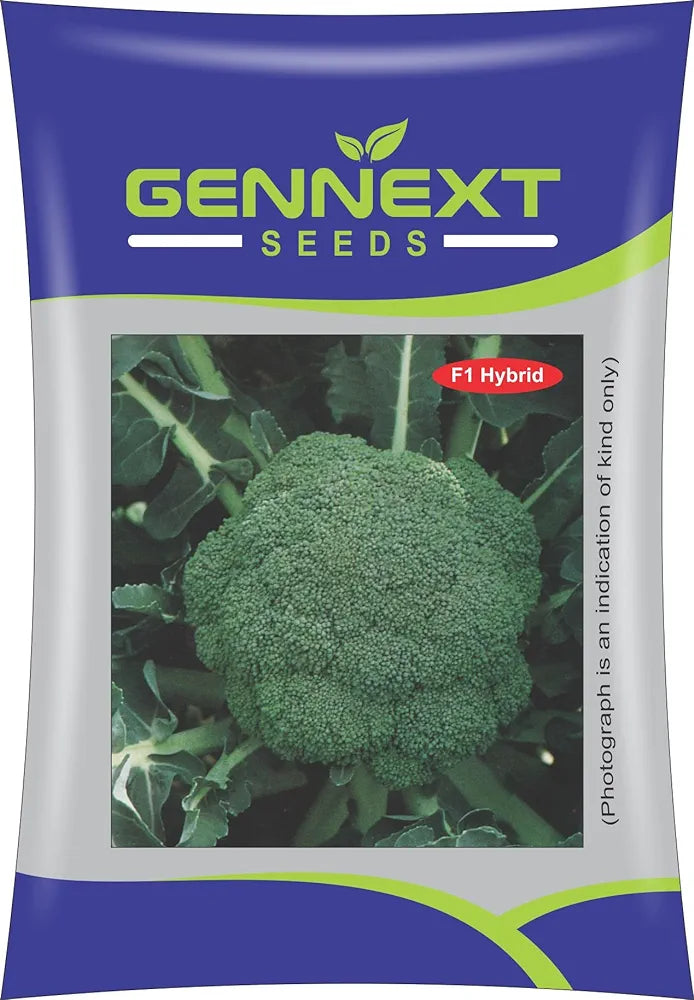 Broccoli Seeds 10GM