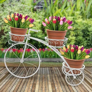 Iron Cycle Stand For Plants