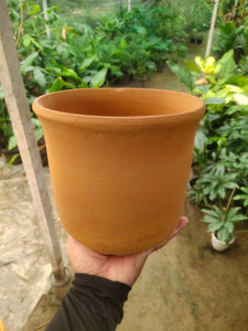 Terracotta 10" Pot