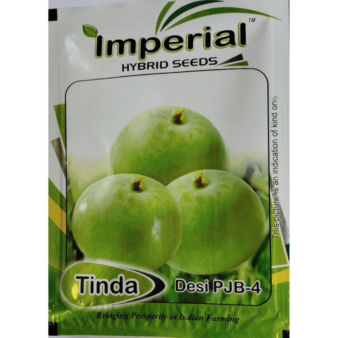 Tinda Seed 10 GM