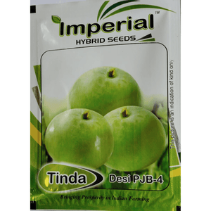 Tinda Seed 10 GM