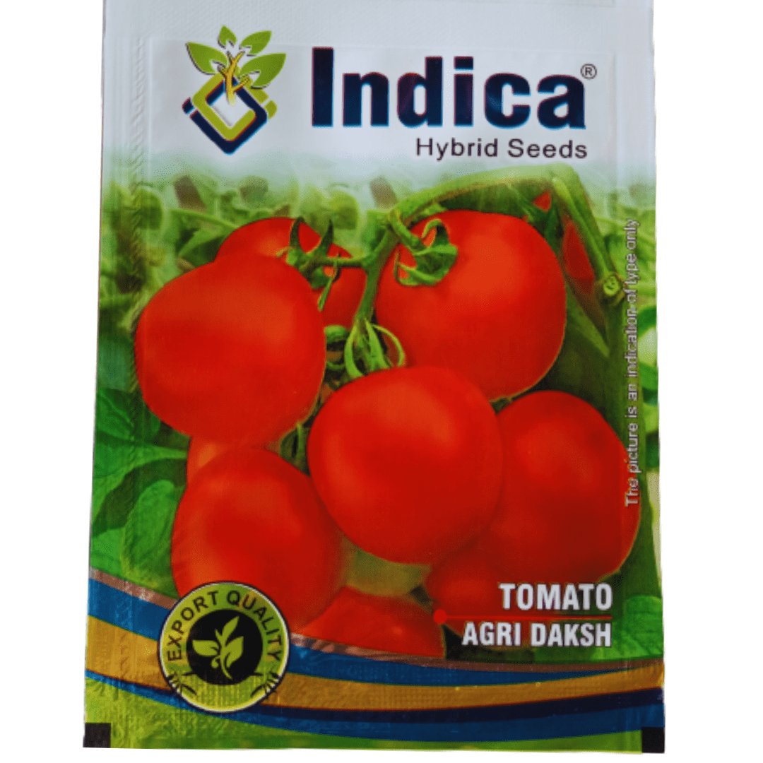 Tomato Seed 10 GM