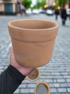 Terracotta 6" Pot