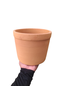 Terracotta  8" Pot