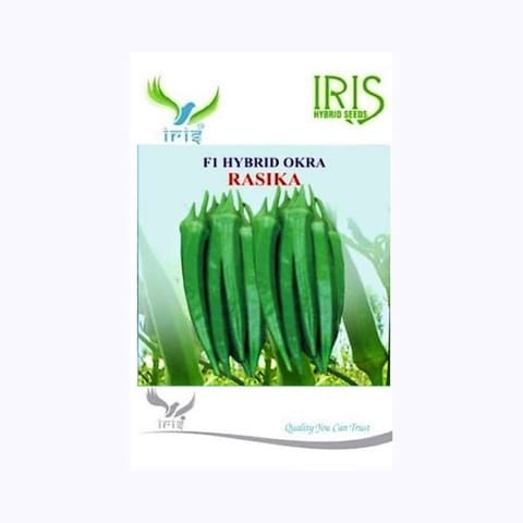 Okra Seed 10 GM