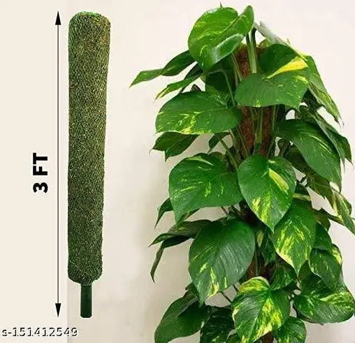 Moss Stick 3 Feet