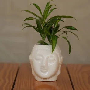 Buddha Face 4" Pot