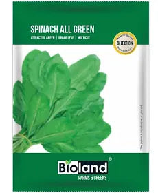 Spinach Seed 10GM